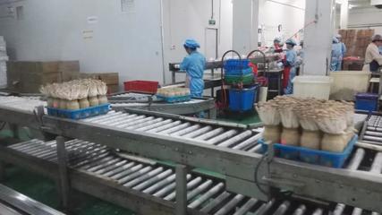 市投促局赴上海考察取得積極成果，四項目達(dá)成技術(shù)咨詢共識